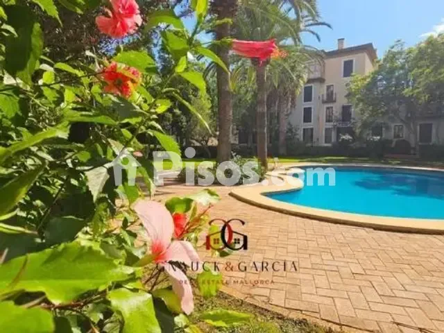 Apartment in La Teulera — photo 1