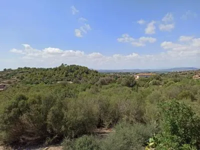 Finca Top Location for Renovation for Sale in Son Macia — photo 4