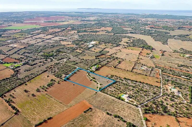Plot in Ses Salines: The Perfect Place to Create Your Home in Mallorca — photo 4