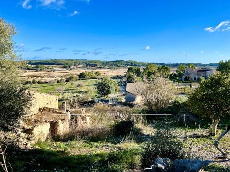 Villa in Sineu, Province of Balearic Islands — photo 1