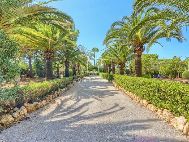 493m² country house for sale in Santa Maria del Cami — photo 2