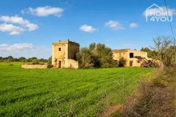 Historic natural stone finca near Campos, 21,300 m² plot & great development potential, 270 m² — photo 1