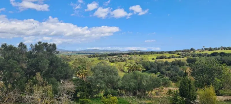 Finca for sale 3 km from Manacor — photo 7
