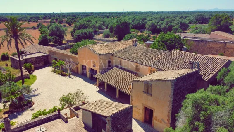 Large Country Estate to reform in Llucmajor — photo 6