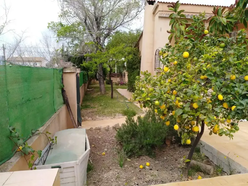 EN LA TRANQUILA URBANIZACIÓN DE PALMANYOLA , A 7 KM DE PALMA OFREZCO EN ALQUILER UN CHALET SIN MUEBLES DE UNA SOLA PLANTA ,EDIFICADO EN UN S — photo 11
