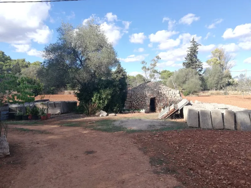 Buildable rustic plot. Fully fenced — photo 7