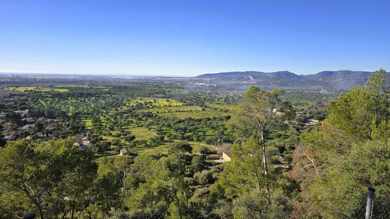 Land in Bunyola, Province of Balearic Islands — photo 2