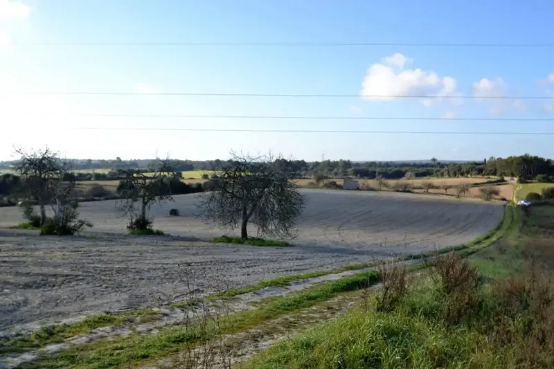 Plot of more than 25000 m2 in Llubí — photo 6