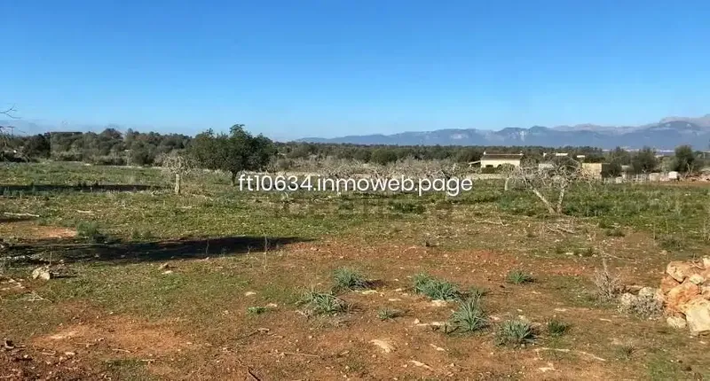 Only 3 km from the village of Sineu, we have this finca completely enclosed by Mallorcan dry stone wall and with a gate. Buildable land — photo 1