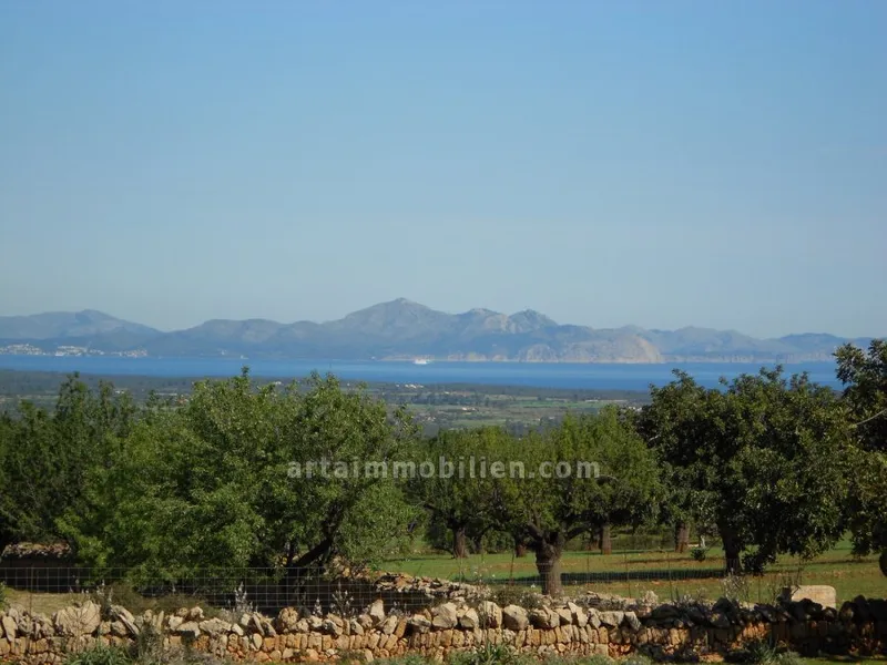 Plot in Manacor — photo 1