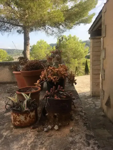 Sumérgete en el encanto del Mediterráneo en esta preciosa finca rural situada en Mallorca, en una ladera que regala vistas panorámicas a las — photo 9