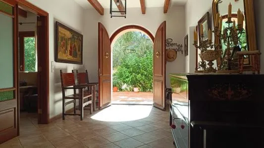 Rustic property - Manacor (Manacor Centro) — photo 8