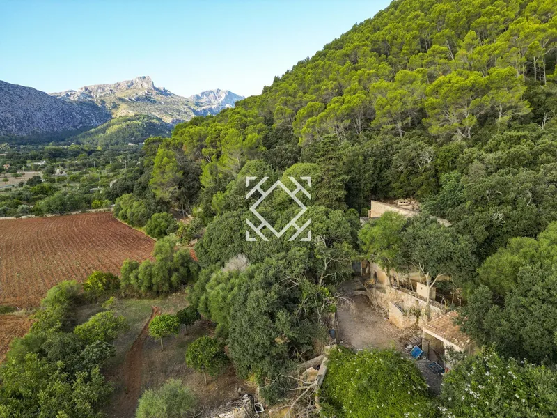 Historic country house for sale in Vall d'en March Pollensa, Mallorca — photo 7