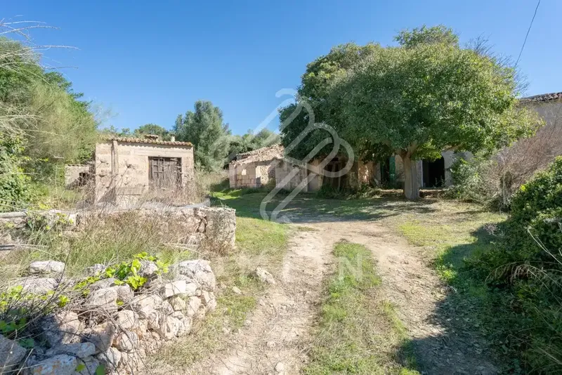 The Castell d'Amos estate, located in Costitx, has an area of 252,000 square meters and borders the municipalities of Sineu and Llor — photo 2