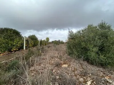 Building Site - Marratxí (Pòrtol), Plot Surface 1131m² — photo 3