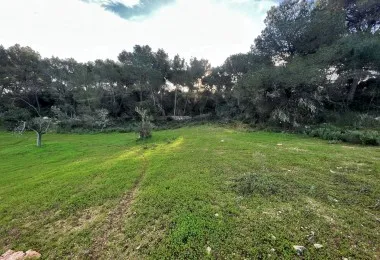 Terreno en Felanitx — photo 10
