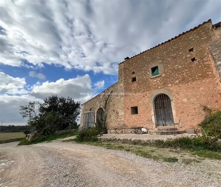 finca in Llubi — photo 12