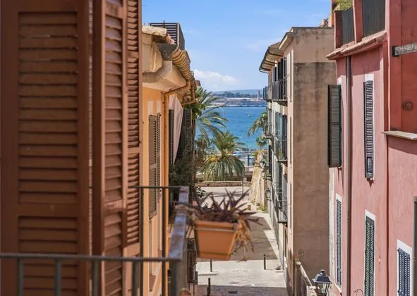 Penthouse in La Calatrava, Palma de Mallorca — photo 2