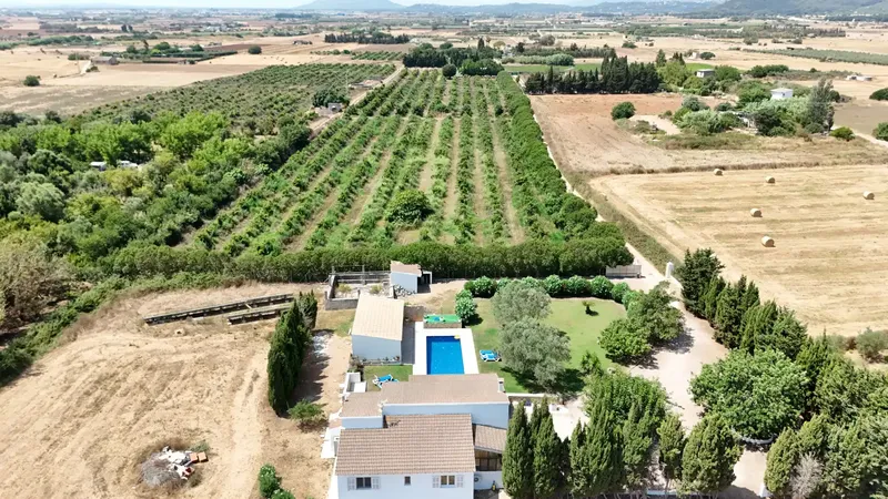 Finca with two guest apartments near Sa Pobla – available from August 15 — photo 4