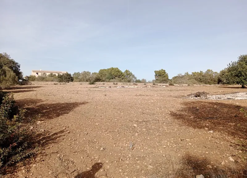 Country Land near Cas Concos — photo 11