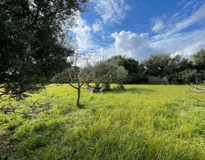 Beautiful rustic estate with impressive views in ... — photo 4