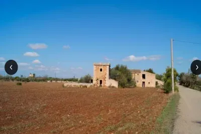 Finca in Campos — photo 1