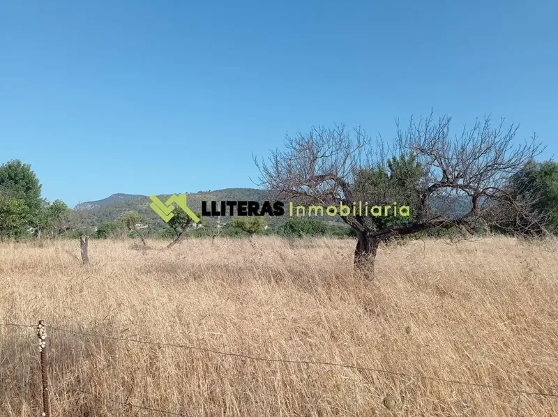 Discover this charming rustic estate located in the municipality of Lloseta, in a quiet environment surrounded by nature, just a few — photo 11