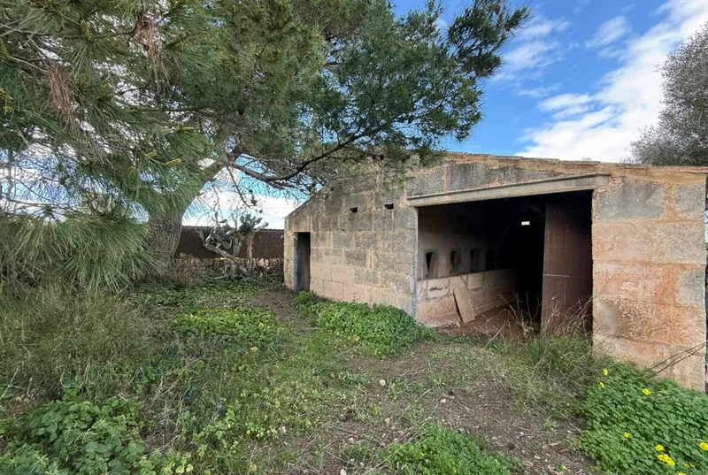 Rustic finca with cottage in Ses Salines — photo 5