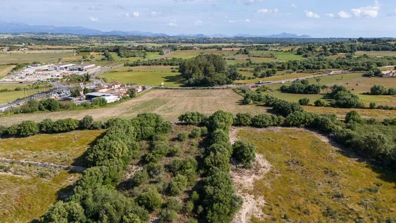 Land in Ariany, Province of Balearic Islands — photo 2