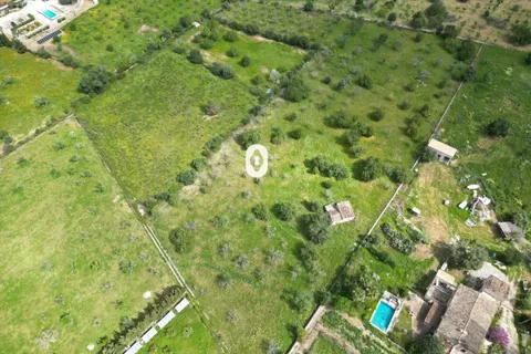 Land in Selva, Mallorca — photo 4