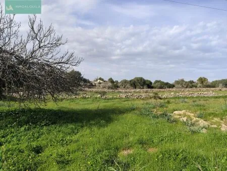 Rustic property - Santa Margalida, Built Surface 50m², Plot Surface 15767m², 1 Room, 1 Bathrooms — photo 12