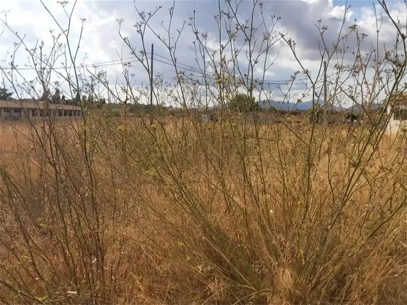 Terreno 2835 m2 con muchas posibilidades ya tiene unos 912 m2 contruidos en barias dependecias. No llamar curiosos.a — photo 2