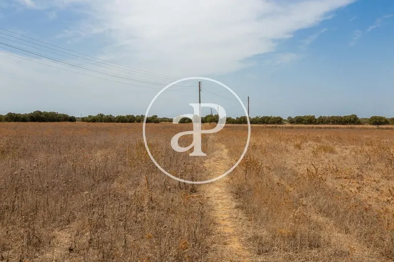 Land in Campos, Province of Balearic Islands — photo 6