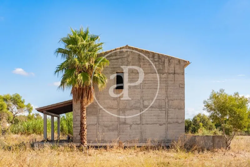 Land in Campanet, Province of Balearic Islands — photo 9