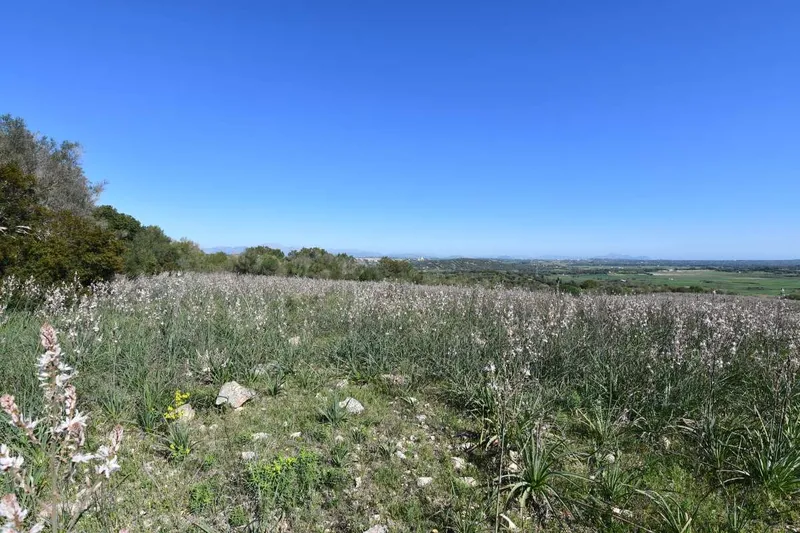 Set of 3 plots with impressive views and a total of approx 252,609m2 in Petra — photo 8
