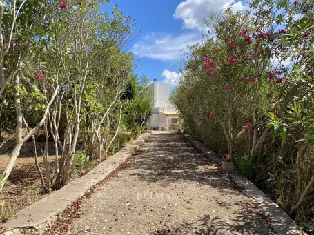 Charismatic finca with garage and casita on the outskirts of Sant Llorenç — photo 4