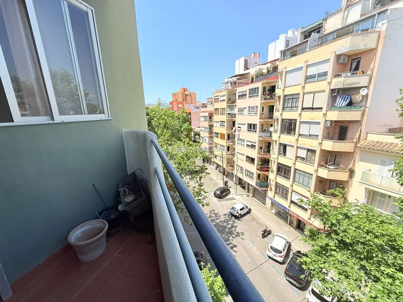 Piso en Palma — photo 4
