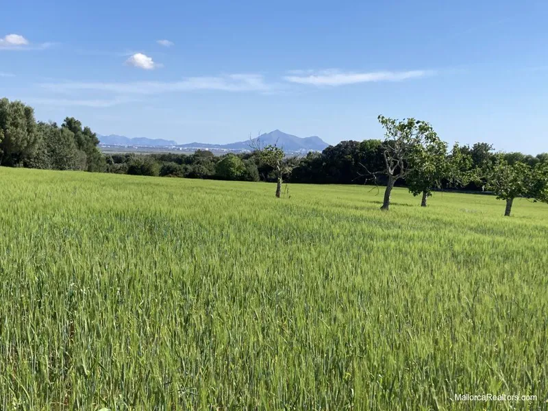 Building plot for a private family house with views over the Bay of Alcudia — photo 3