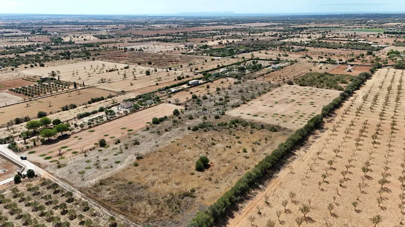 Finca rústica en Campos — photo 3