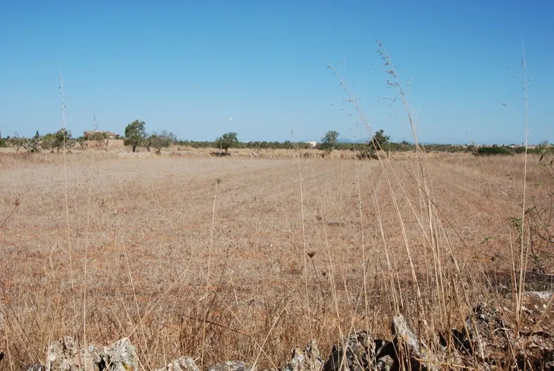 Plot of 17,466m2 with a project of 336.47m2 near Santanyi — photo 1
