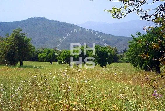 Country plot for sale in Inca — photo 3