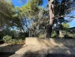 Multi-family plot for sale in Son Verí Nou — photo 2