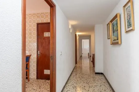 Apartment - Alcúdia (Ciutat d'Alcúdia) — photo 6