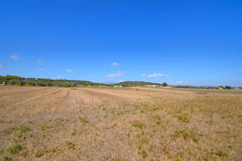 Set of plots totaling 19,622 m2, with the possibility of building a house in a privileged natural environment in Muro — photo 8