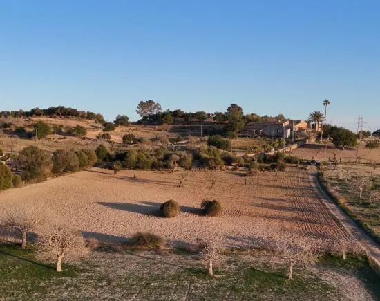 Finca for sale in Sineu — photo 1