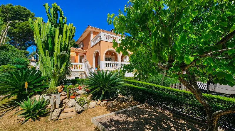 Traditional villa with guest apartment in Santa Ponsa Mas — photo 3