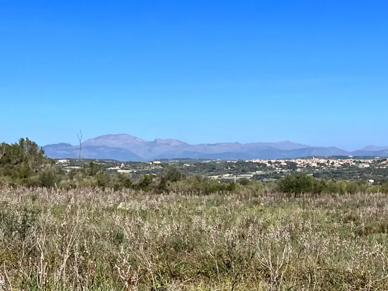 We are in Petra, in the middle of Pla de Mallorca, in a privileged setting with panoramic views, views of Ariany, Maria de la Salut — photo 3