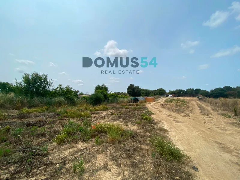Rustic land not buildable in Maria de la Salut — photo 8