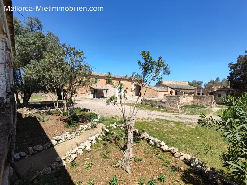 Felanitx: Original Fincas, Stables, Outbuildings - Plot can also be subdivided! — photo 1