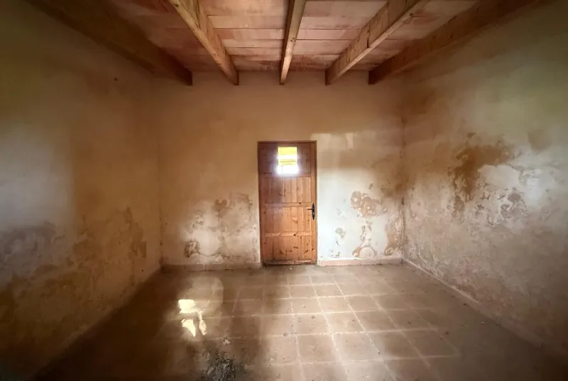 Finca with small house between Manacor and Felanitx — photo 4